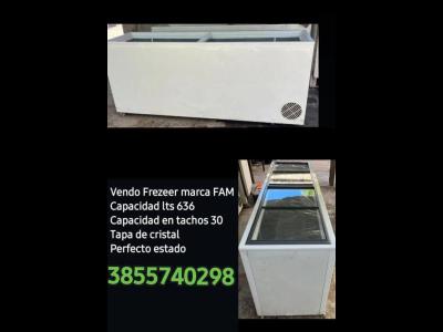 Maquinarias Venta Santiago Del Estero Vendo frezeer 636 lts marca FAM